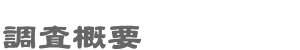 調査概要