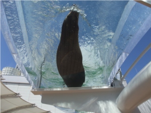 サンシャイン水族館