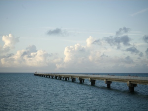 【写】パイロット訓練飛行場（海側）